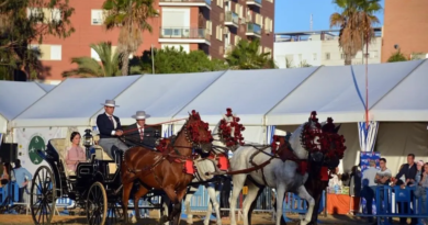 El parque Zafra no es un recinto ferial El parque Zafra no es un recinto ferial
